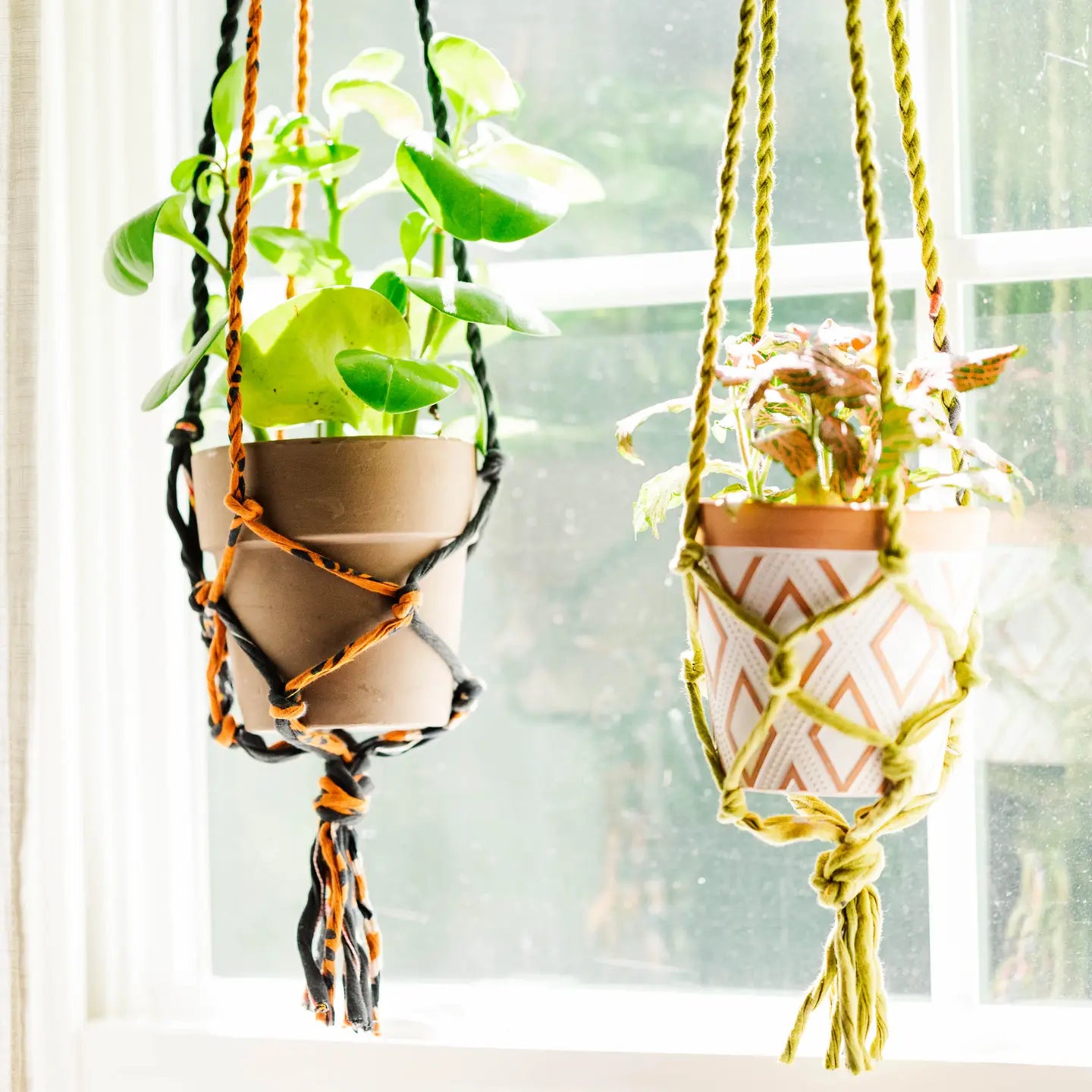 Saree Plant Hanger
