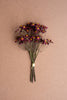 Burgandy Faux Chamomile Bundle