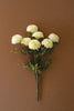 Bundle of White Ball Dahlias