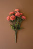 Bundle of Blush Ball Dahlias