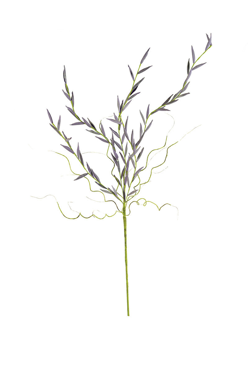 Lavender Bud Stem