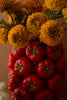 Ceramic Tomatoes Vase