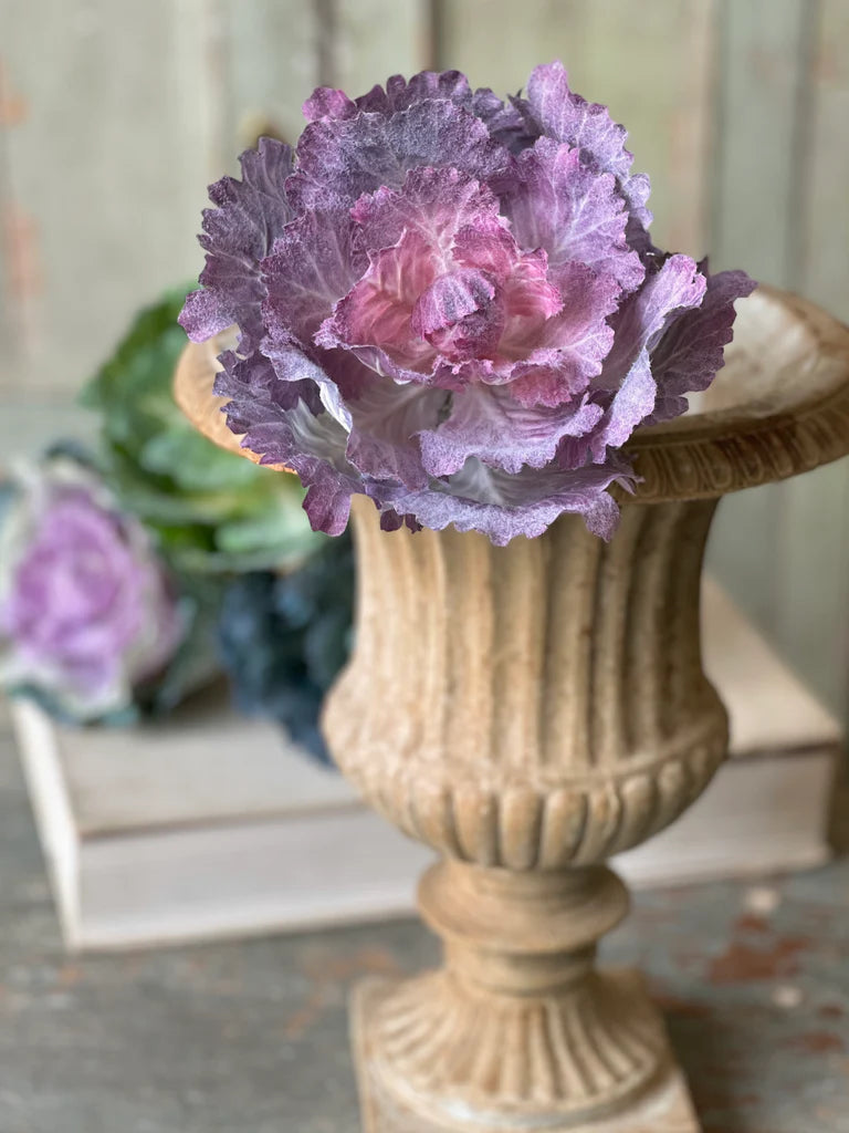 Finery Cabbage Stem