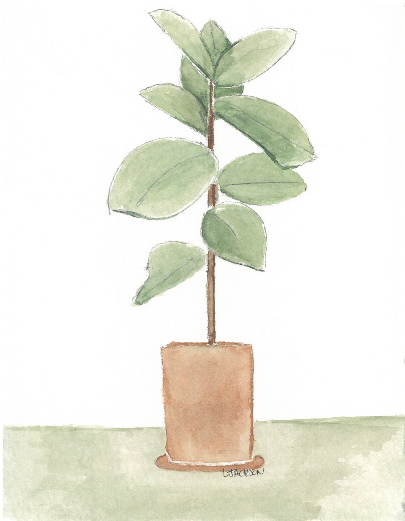 Watercolor Fiddle Fig Art Poster