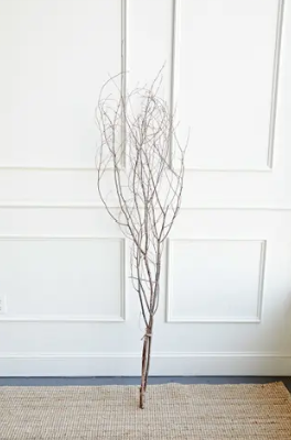 Birch Branch Bundle