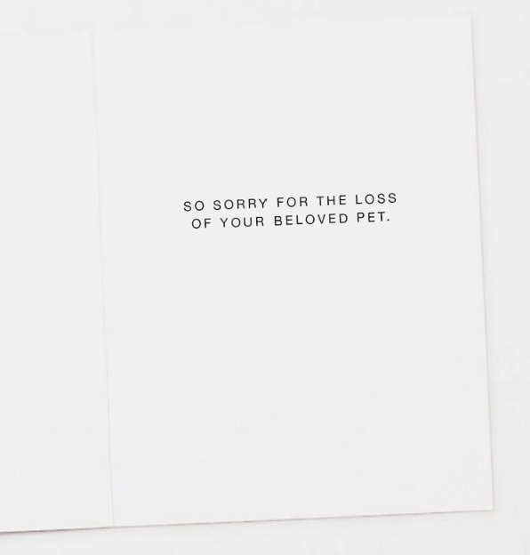 Sorry Cats Sympathy Card