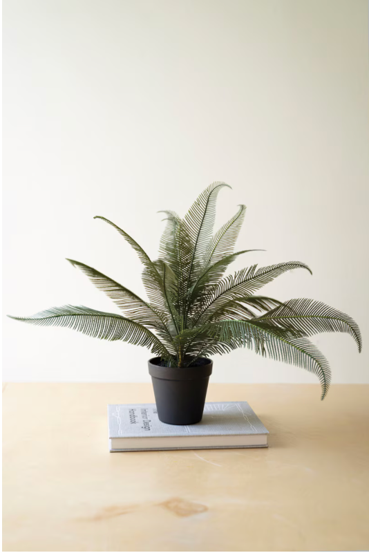 Faux Phoenix Plant in Black Plastic Pot