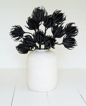 Black Botanica Stem