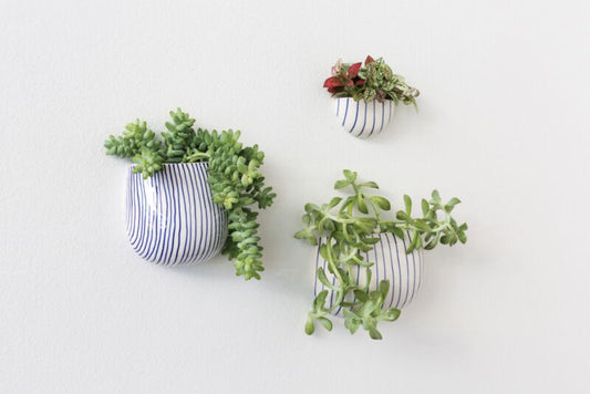 Wim Wall Planters