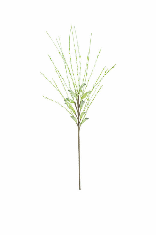Tumbleweed Grass