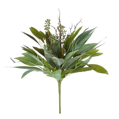 Willow Eucalyptus Bush