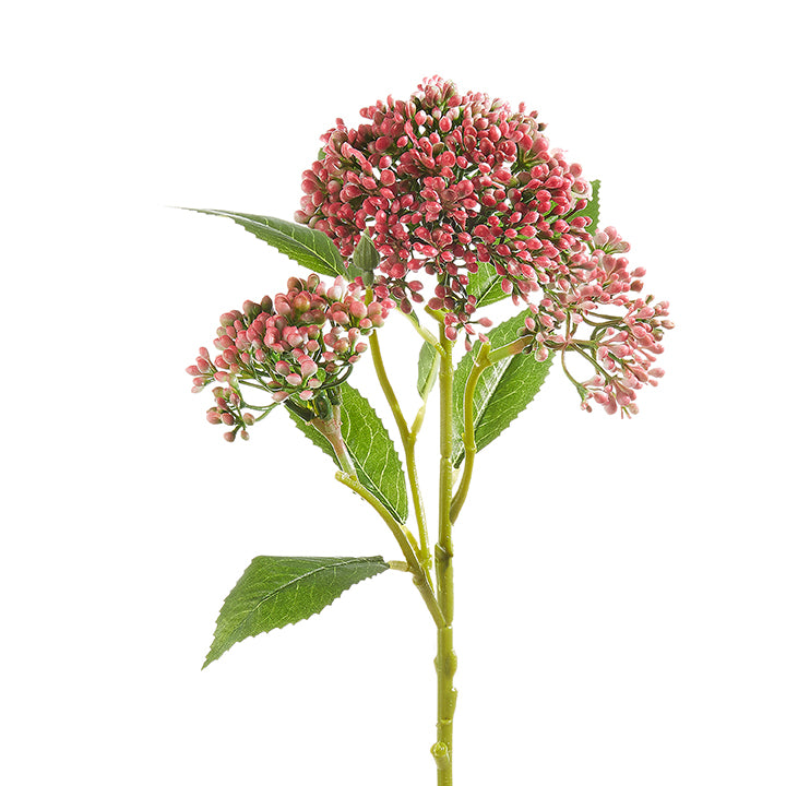 Pink Sedum Spray