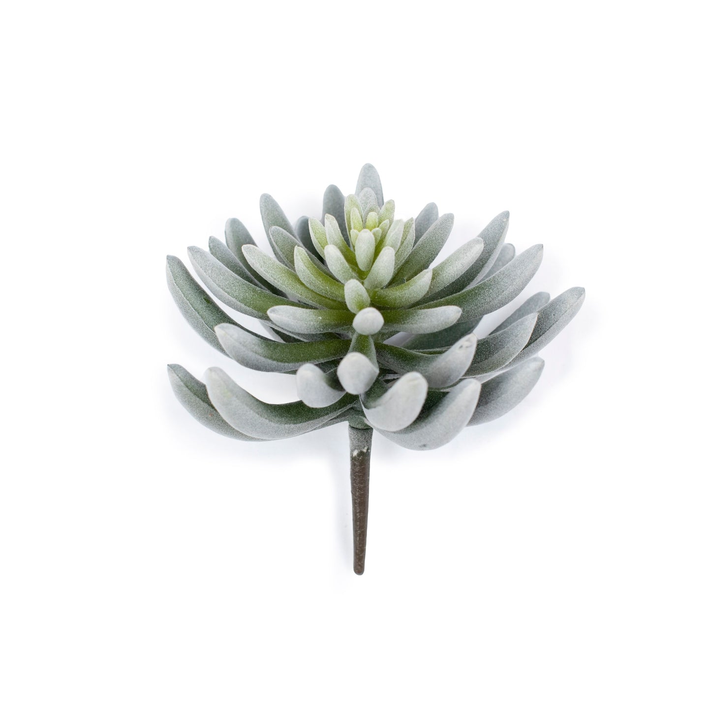 Faux Woolly Senecio Stem