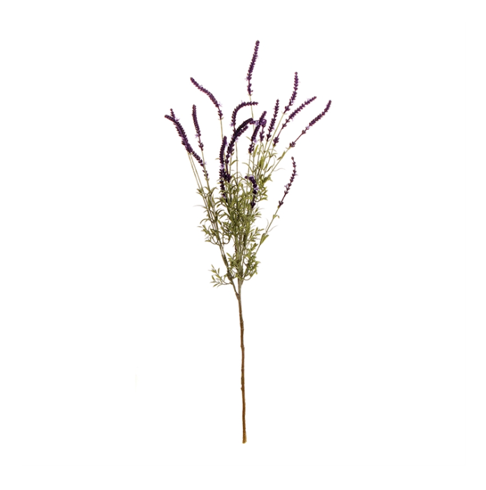 French Lavender Bush