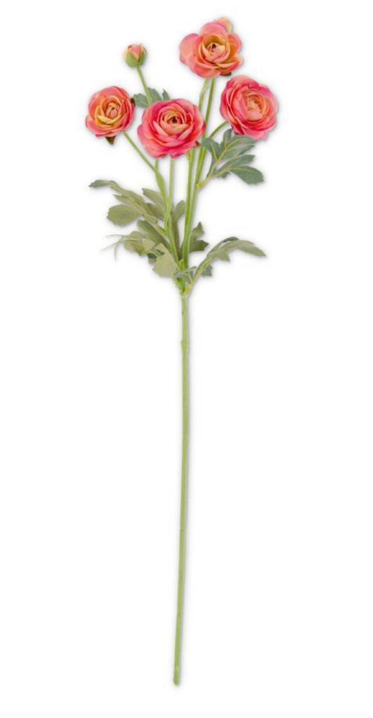 Pink Ranunculus Spray