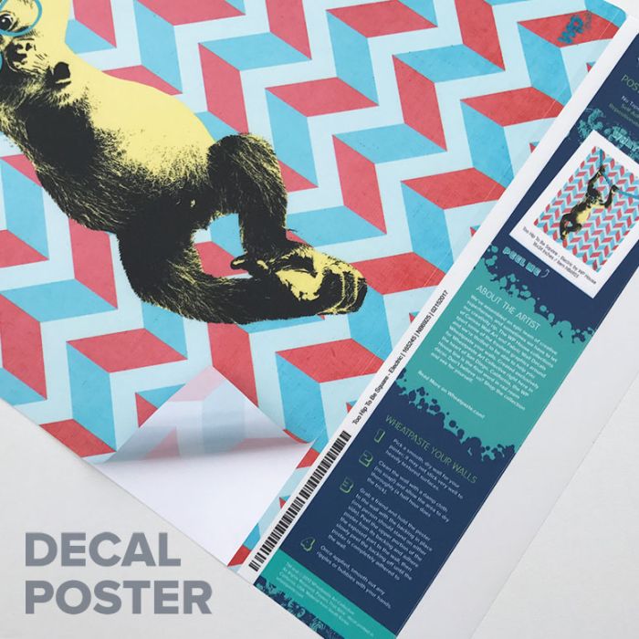 Turquoise Vibrant Flowers Poster Decal