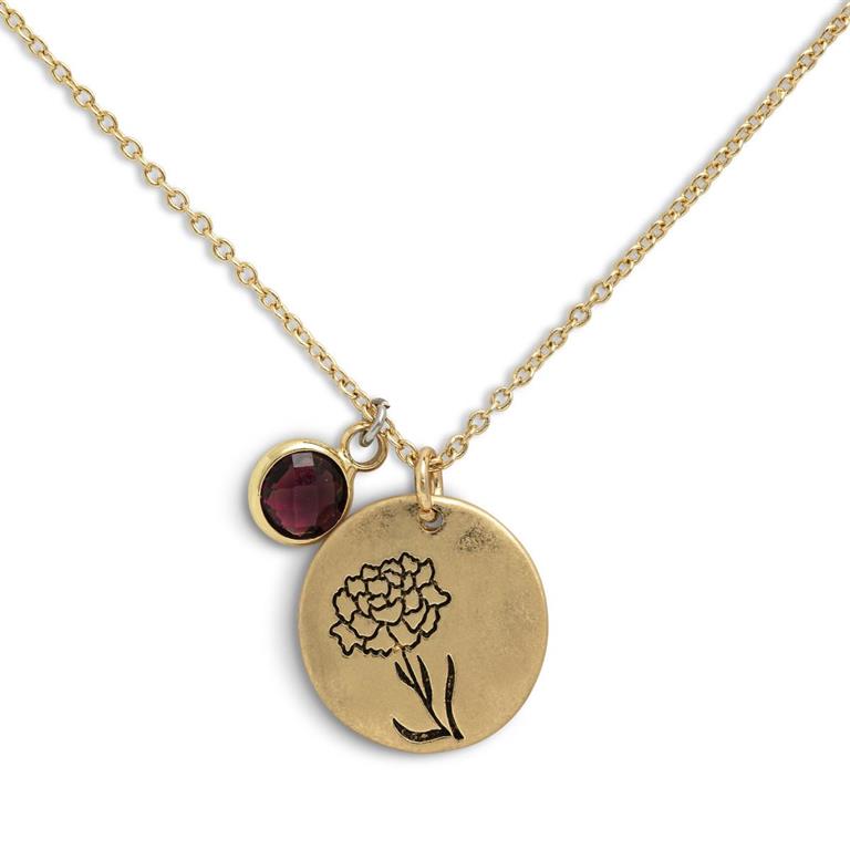 Birthstone Charm Necklace - January