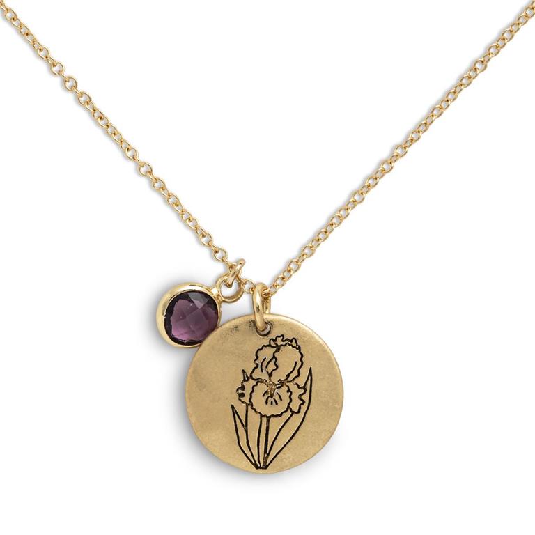 Birthstone Charm Necklace - February