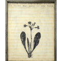 He Said There are Always Flowers Art Print
