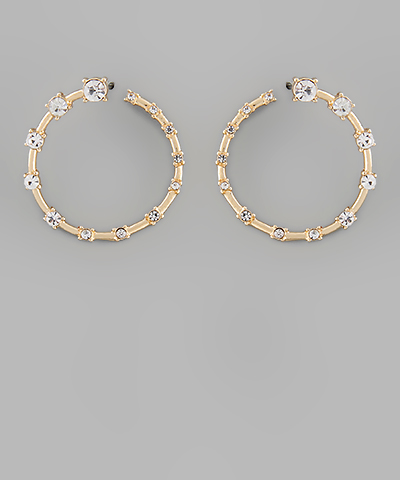 Paved Crystal Linear Circle Earrings