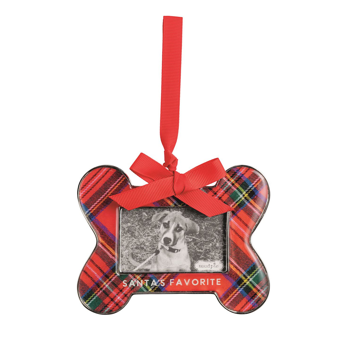 Bone Frame Ornaments