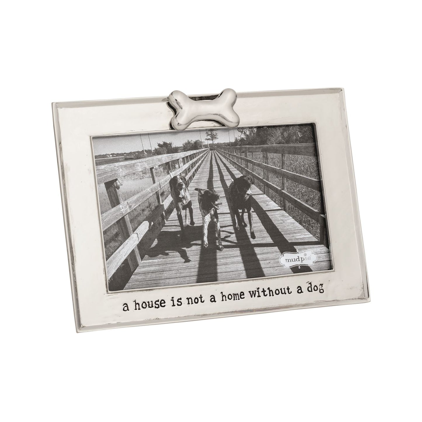 Metal Pet Frames