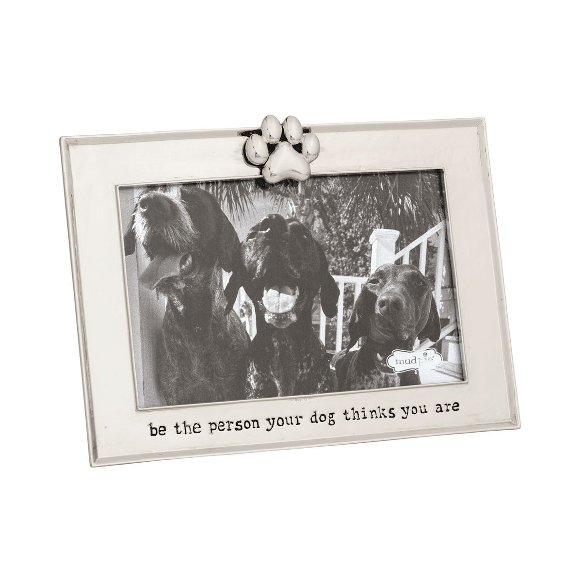 Metal Pet Frames