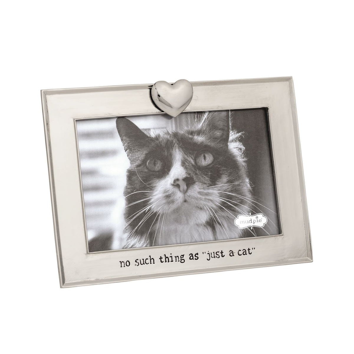 Metal Pet Frames
