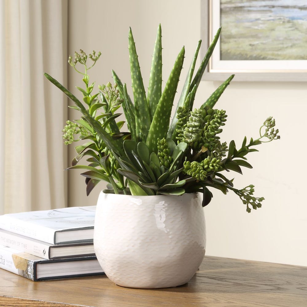 Sundown Succulent Accent