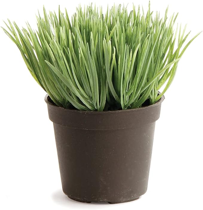 Mini Potted Grass 3.5"