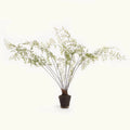 Maidenhair Drop-In 44"