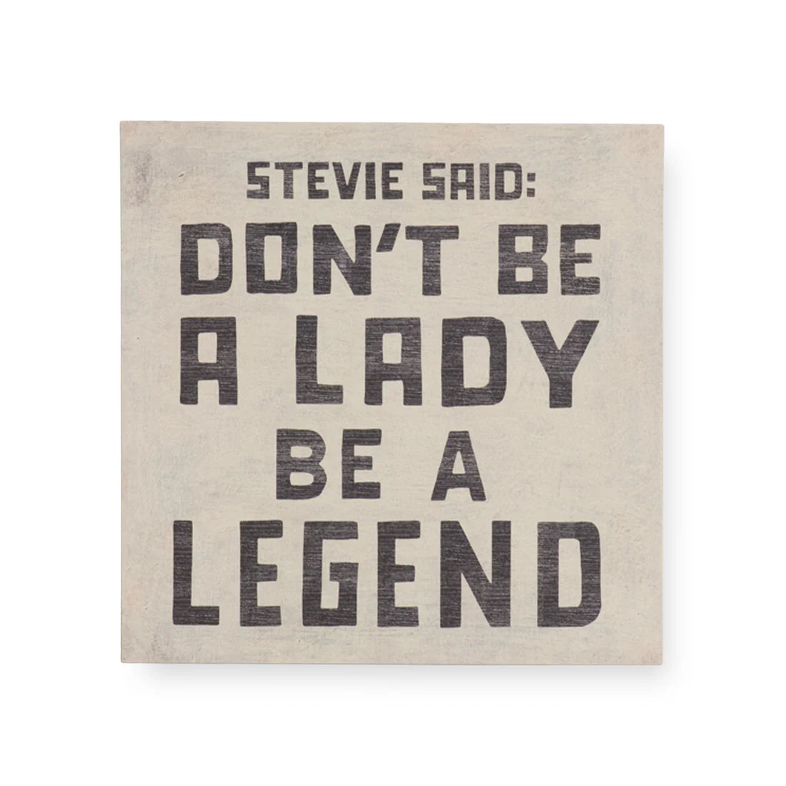 Stevie Said Art Poster