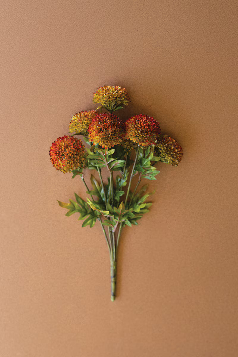 Bundle of Autumn Ball Dahlias