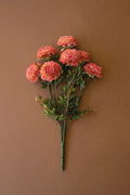 Bundle of Blush Ball Dahlias