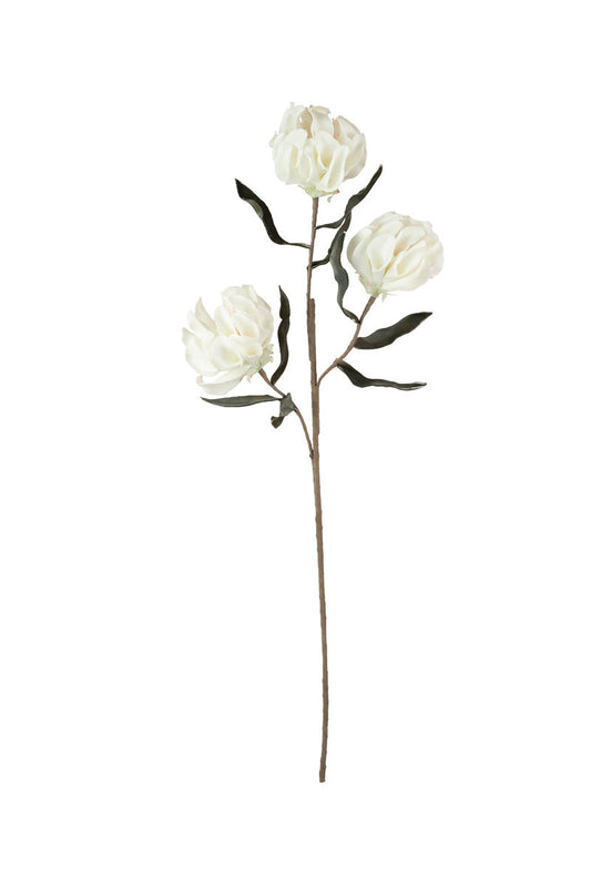 White Bloom Botanica Stem