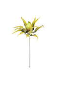 Yellow Botanica Stem