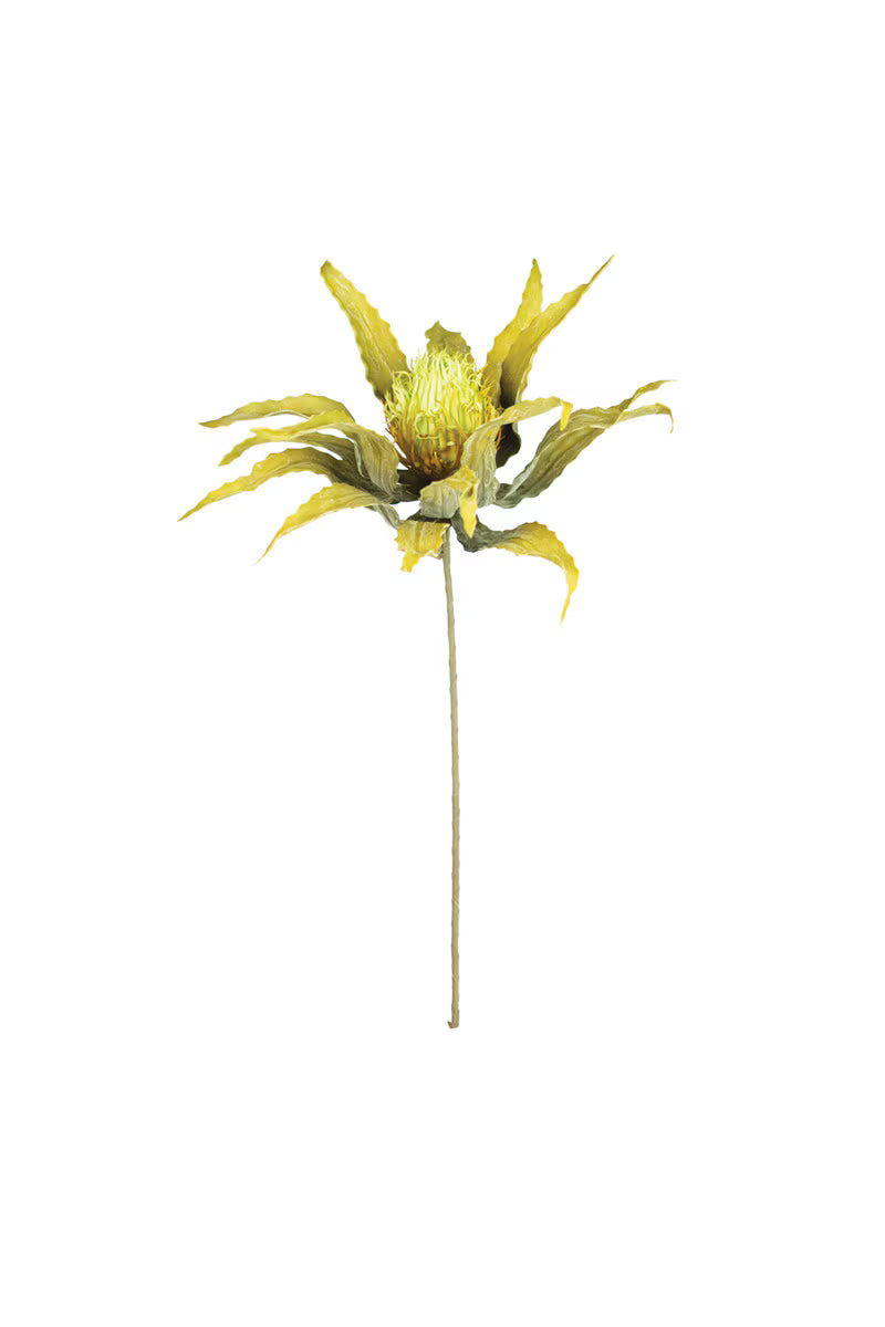 Yellow Botanica Stem
