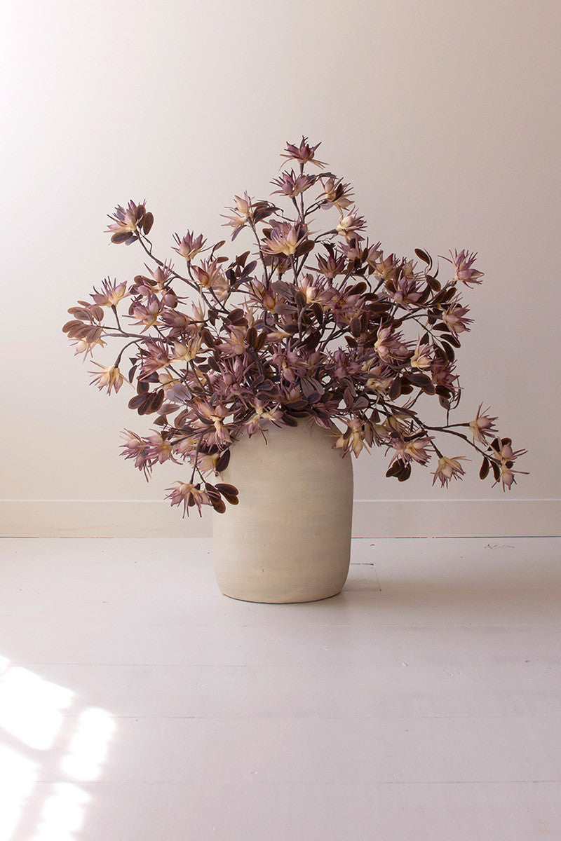 Sedum Rubems Stem