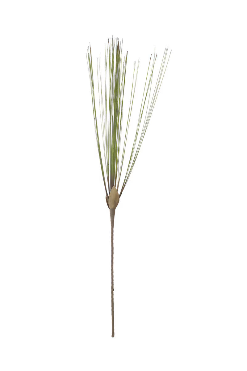 Wispy Grass Blade Bound