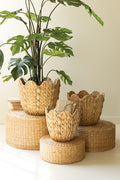 Seagrass Baskets with Wavy Rims