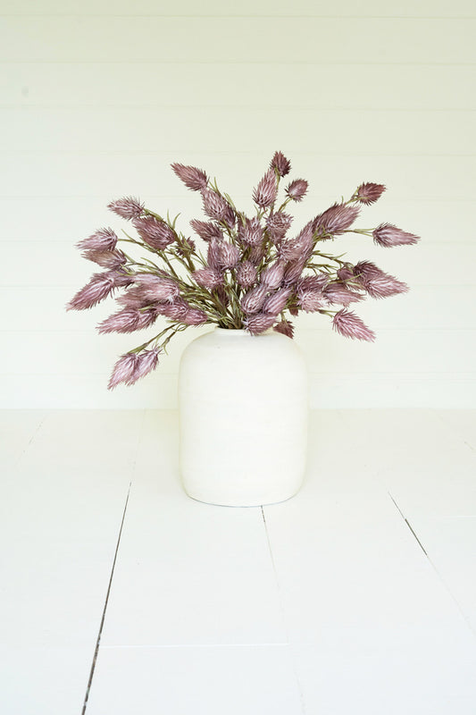 California Thistle Stem