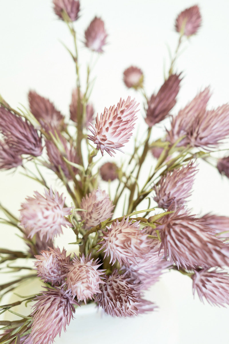 California Thistle Stem