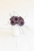 Dried Sunflower Stem