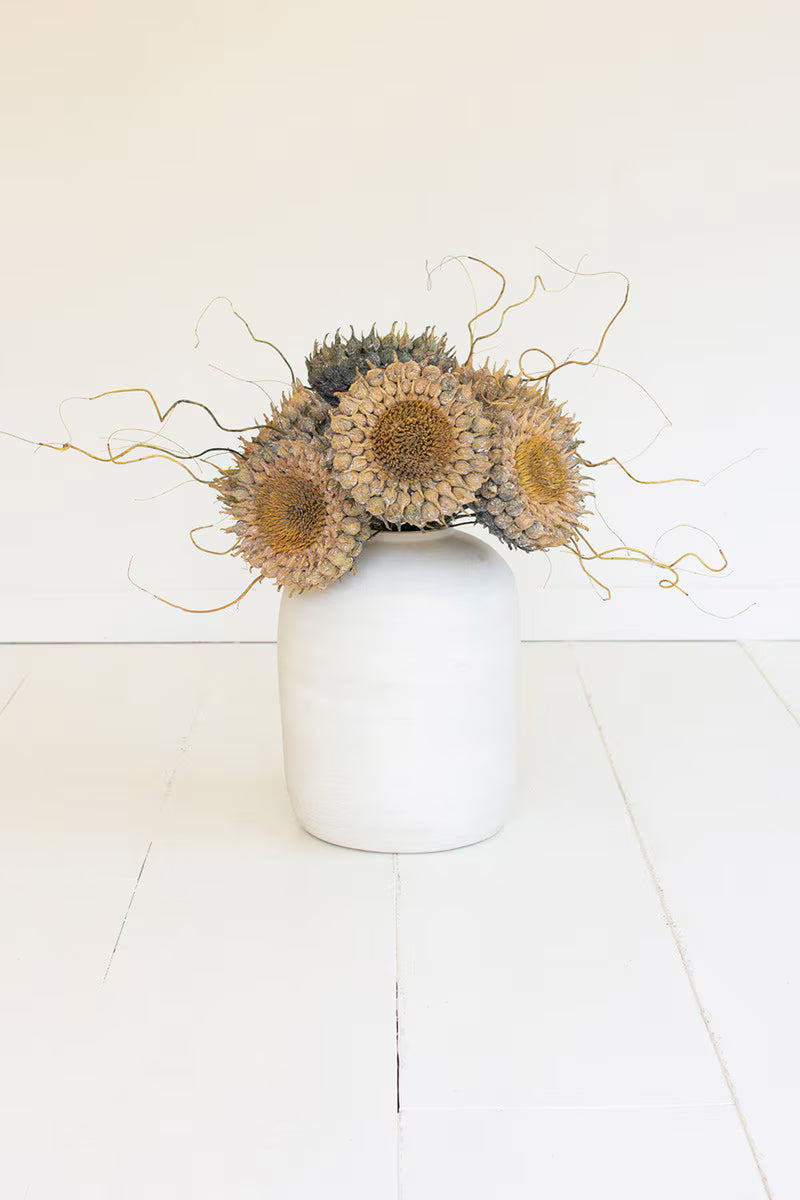 Dried Sunflower Stem