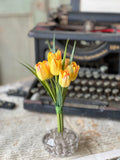 Yellow Teeny Tiny Tulips