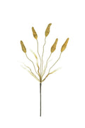 Faux Canary Grass Stem