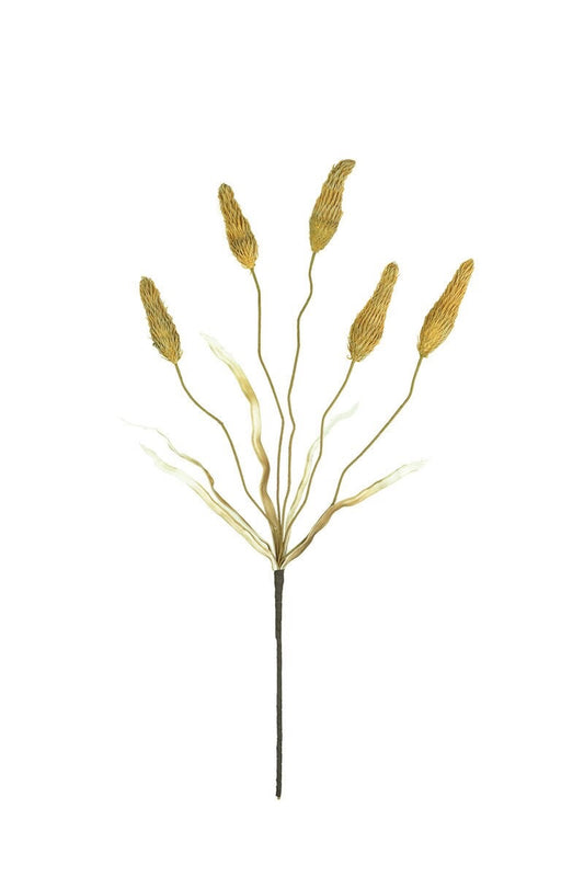 Faux Canary Grass Stem