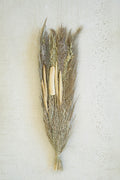 Natural Bundle of Dried Botanicals