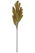 Green Pampas Stem