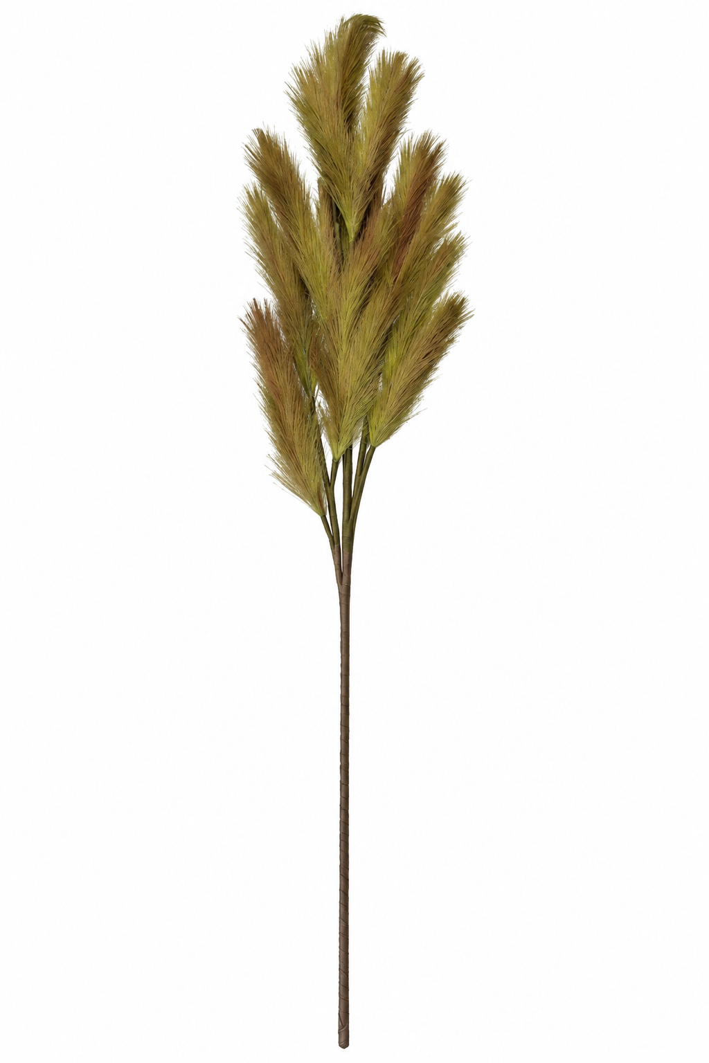 Green Pampas Stem